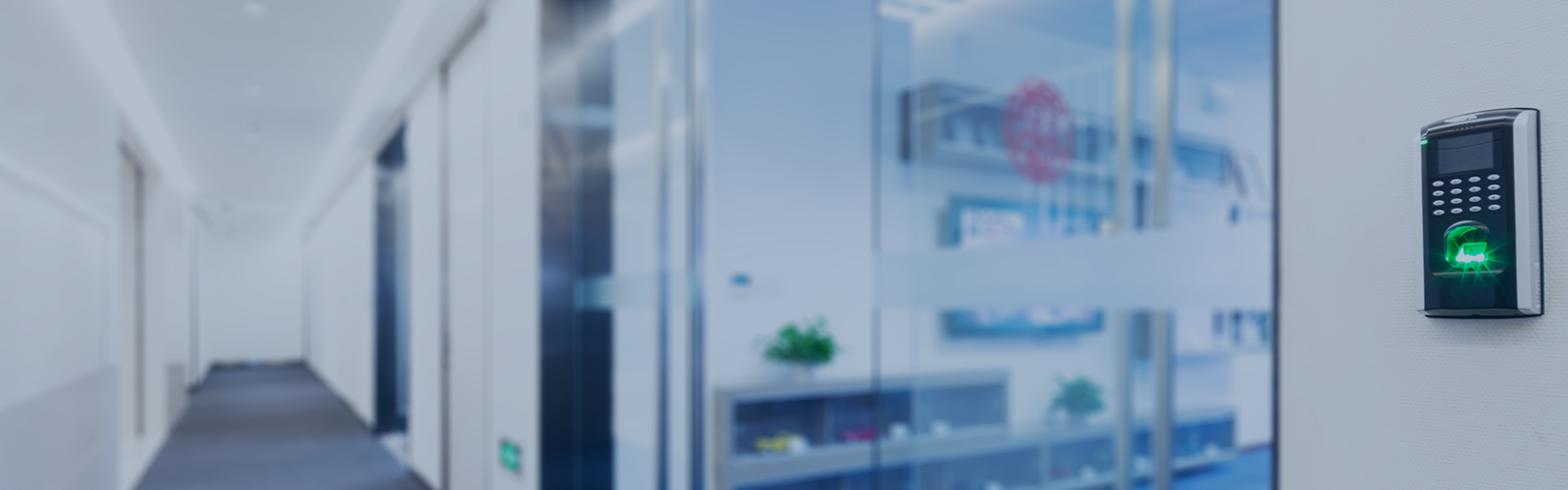 A modern office hallway showcases a glass wall integrated with advanced door access control systems, indicated by a green light on the right. Through the glass, shelves adorned with plants and boxes are visible. The space is well-lit and exhibits a clean, minimalist design.